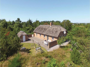 Holiday home Hybenvej Ringkøbing IV